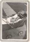 dennis1949.jpg